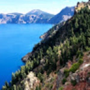 Meet your Posher, Callie